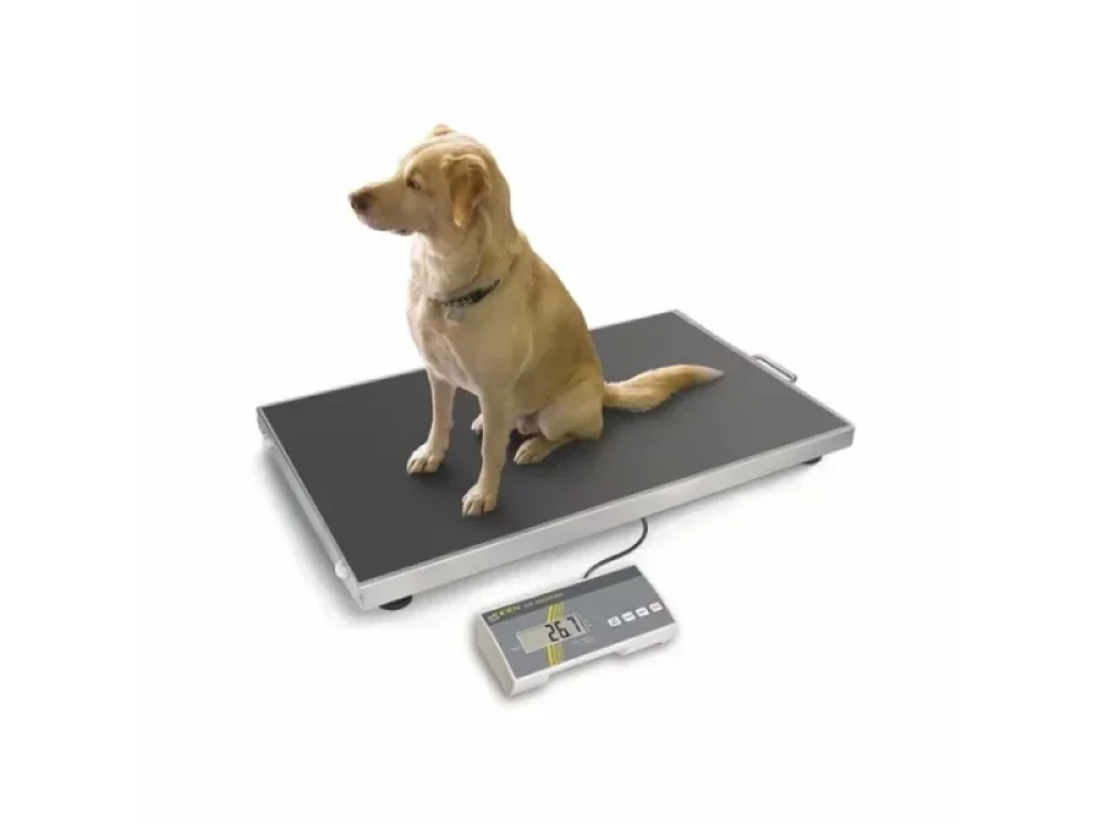 Kern platform veterinary scale