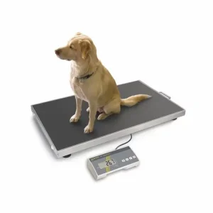 Kern platform veterinary scale